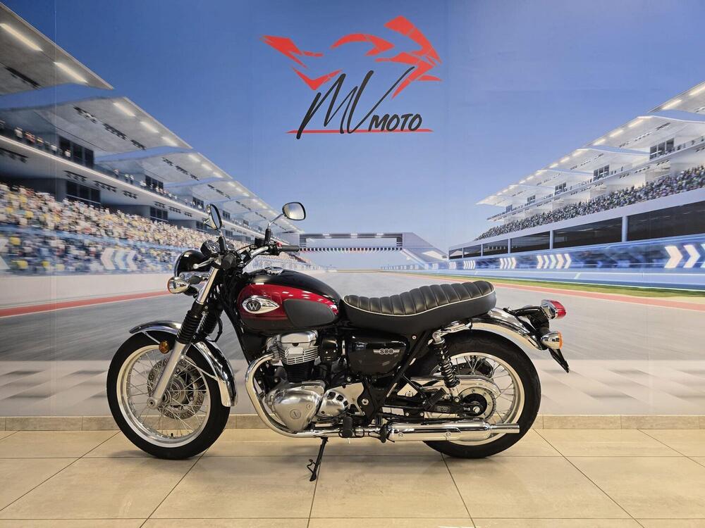 Kawasaki W 800 (2021 - 25) (7)