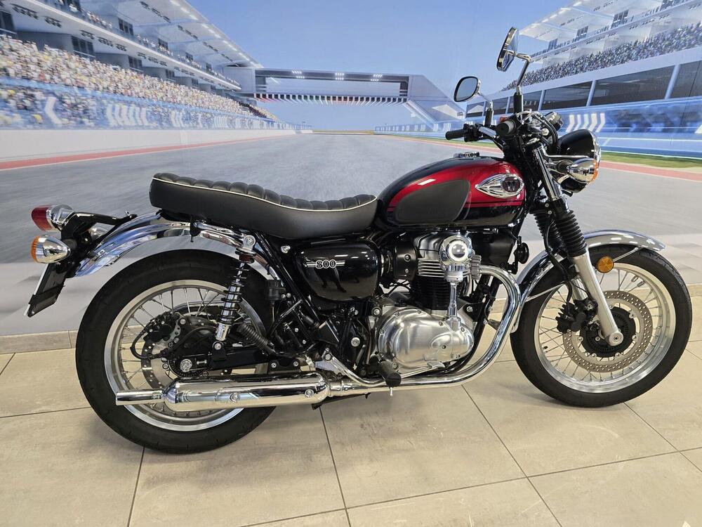 Kawasaki W 800 (2021 - 25) (18)
