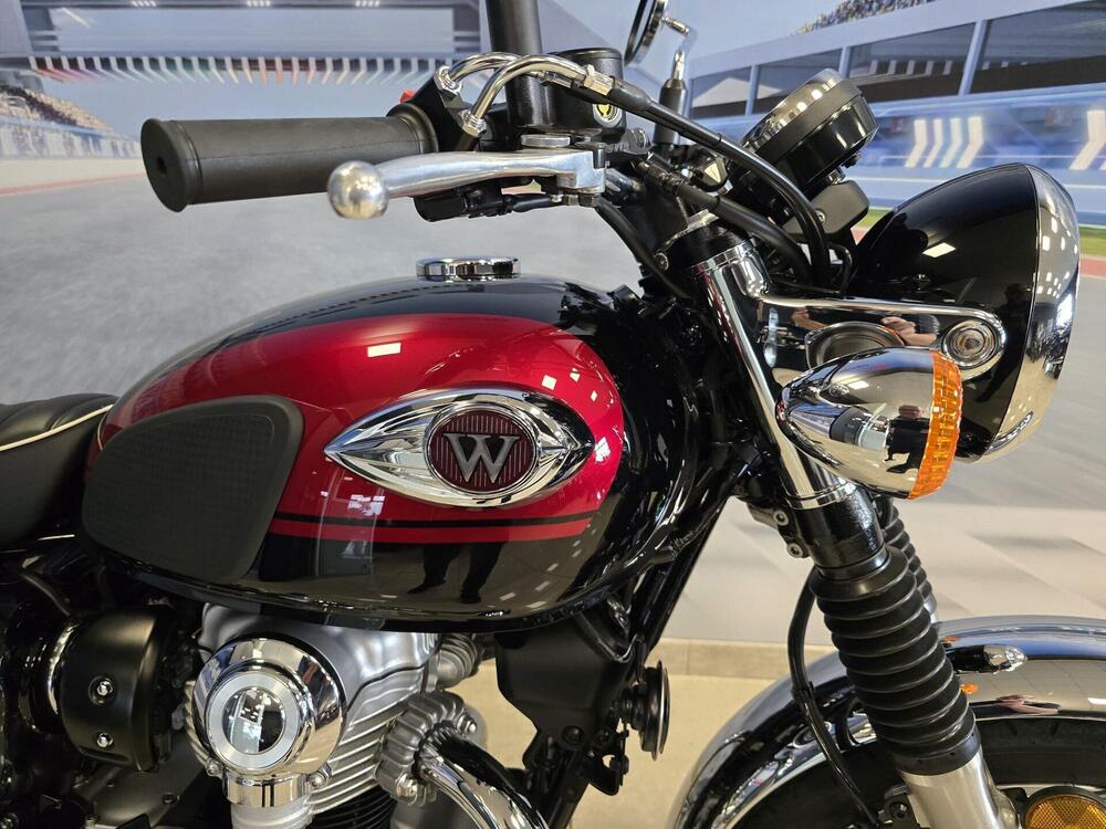 Kawasaki W 800 (2021 - 25) (20)