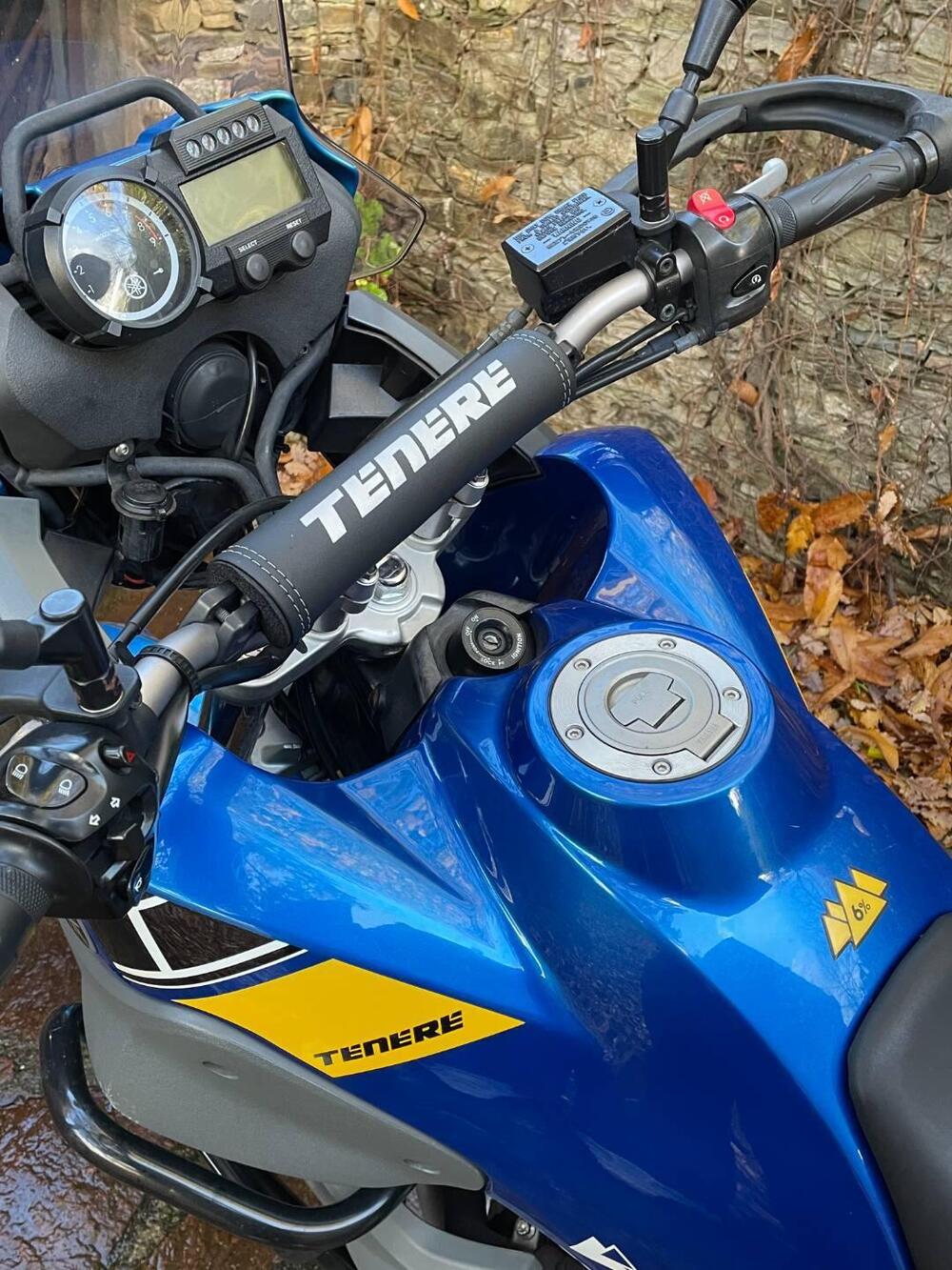 Yamaha XT 660 Z Ténéré (2008 - 16) (3)