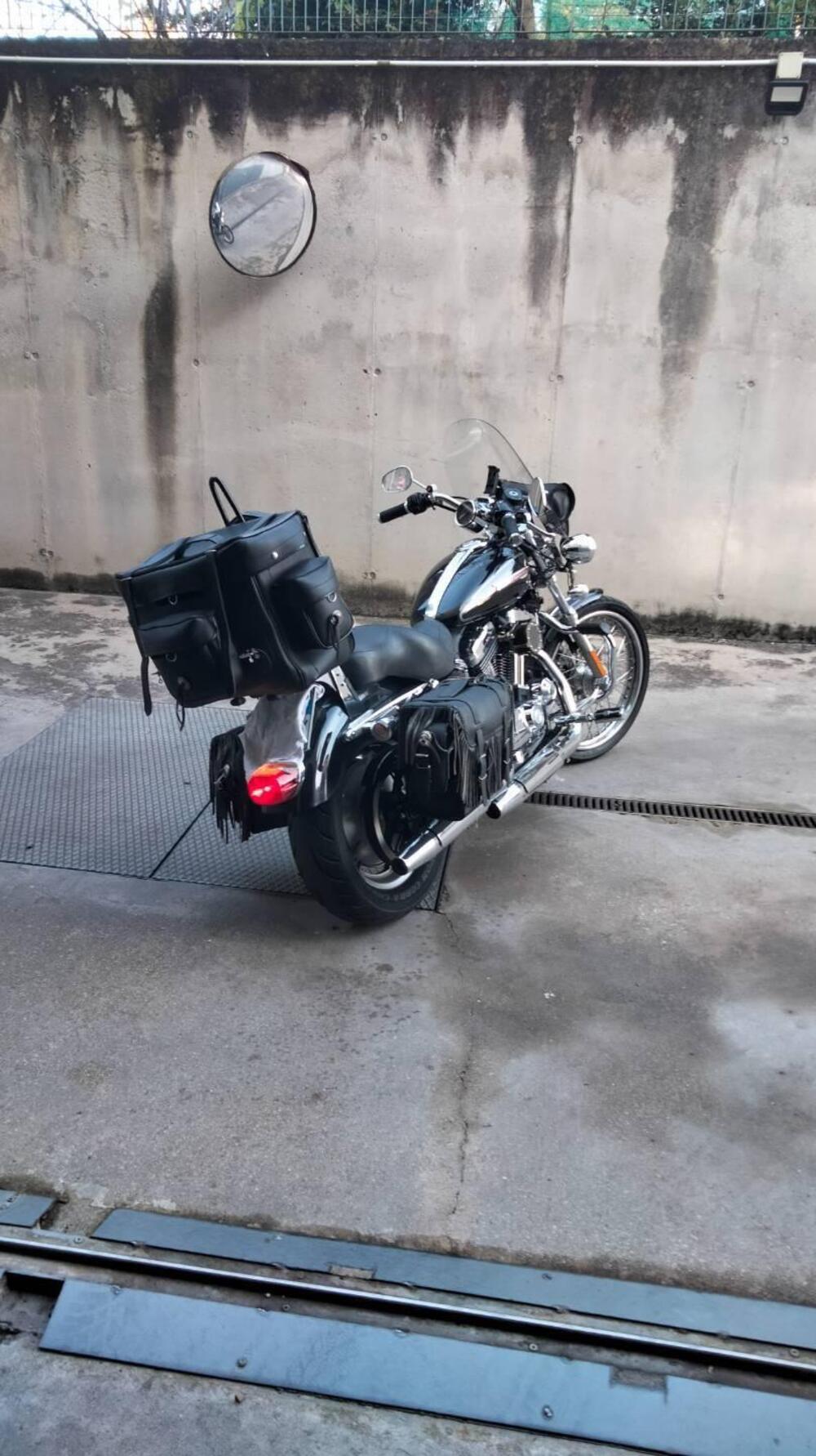 Harley-Davidson 1200 Custom (2007 - 13) - XL 1200C (3)