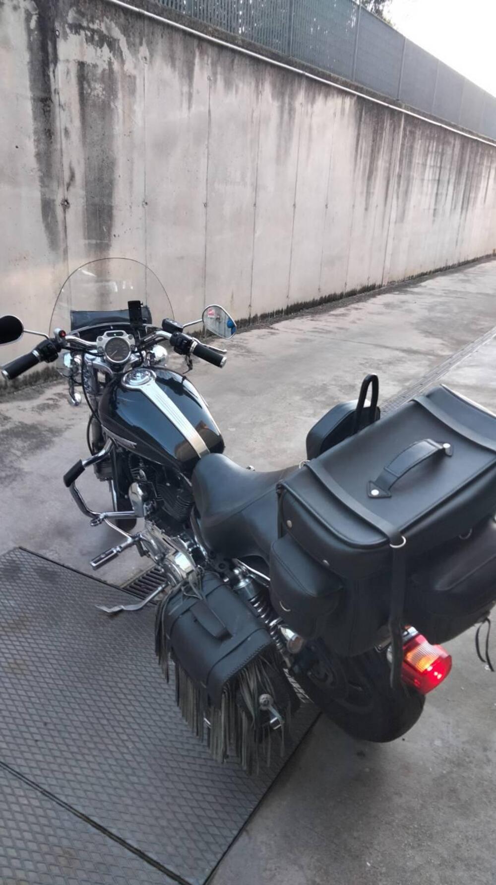 Harley-Davidson 1200 Custom (2007 - 13) - XL 1200C (5)