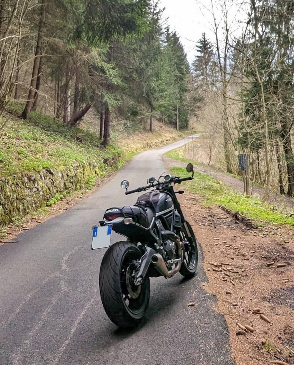 Ducati Scrambler 800 Icon (2017 - 20) (5)