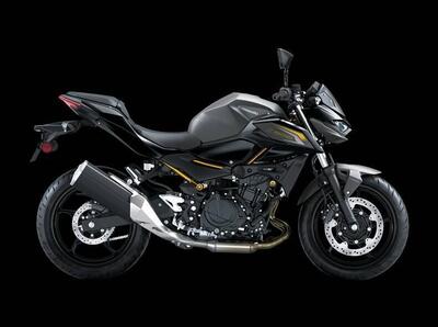 Kawasaki Z 500 (2024 - 26) nuova