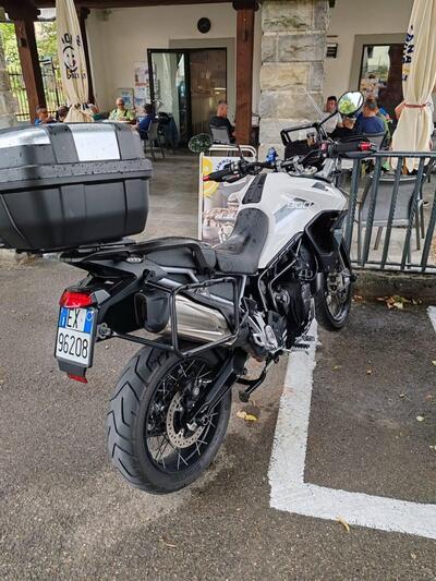 Triumph Tiger 900 Rally (2020 - 23) usata
