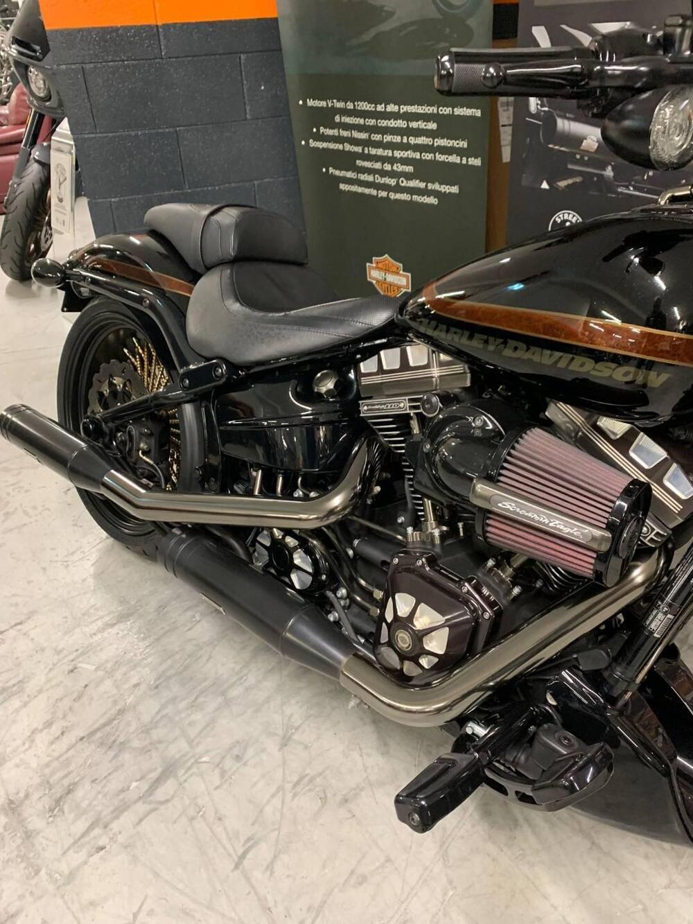 Harley-Davidson 1800 Breakout Pro Street (2016 - 17) - FXSBSE (5)