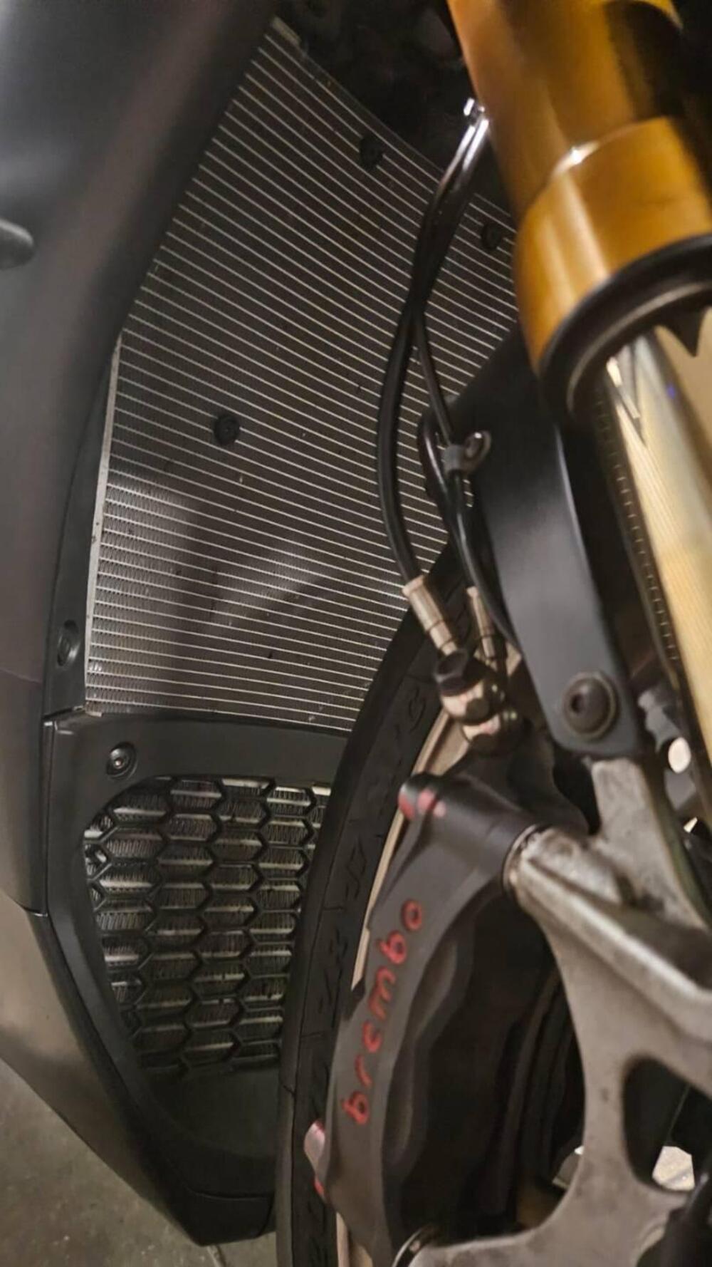 Aprilia RSV4 1100 Factory (2019 - 20) (3)