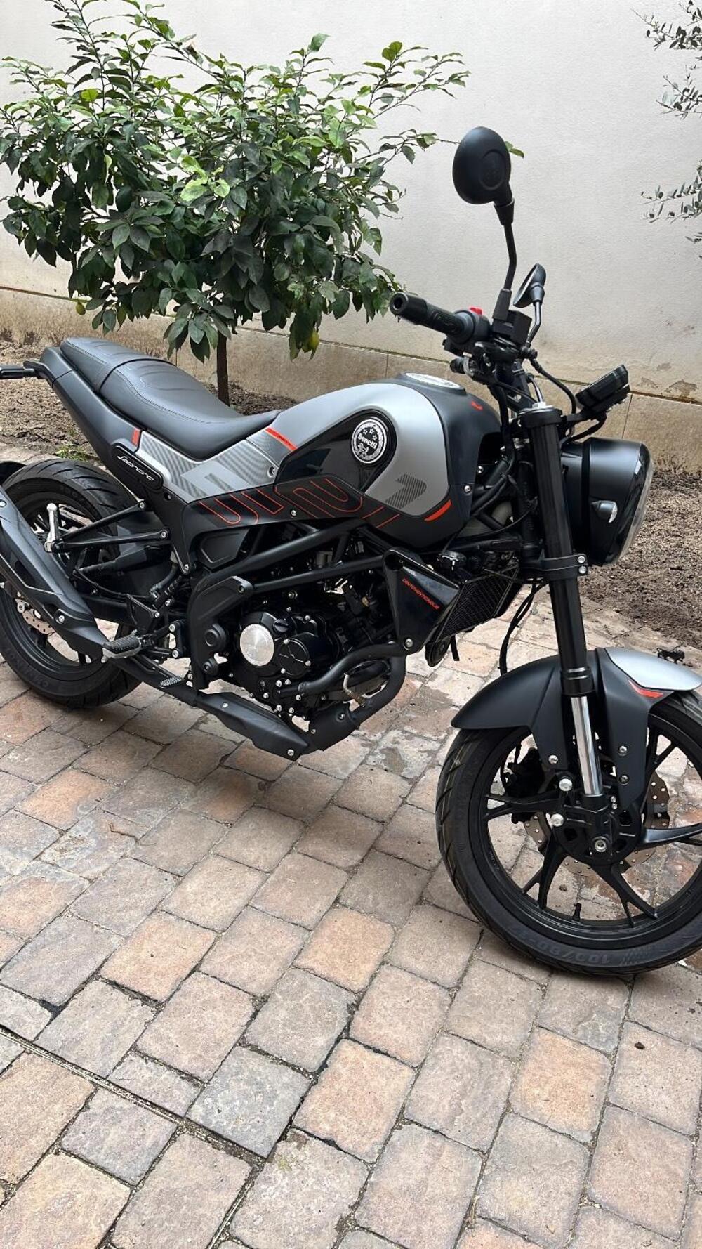 Benelli Leoncino 125 (2022 - 25) (3)