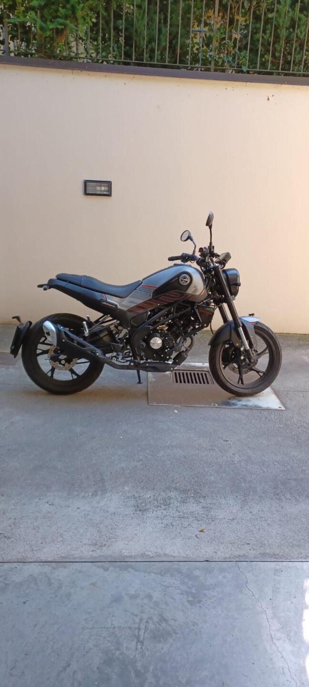 Benelli Leoncino 125 (2022 - 25) (5)