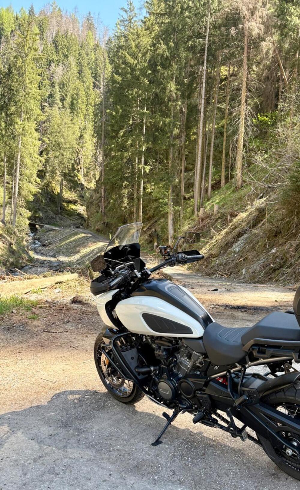 Harley-Davidson Pan America 1250 Special (2020 - 25) (6)