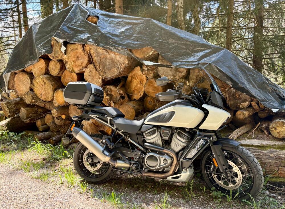 Harley-Davidson Pan America 1250 Special (2020 - 25)