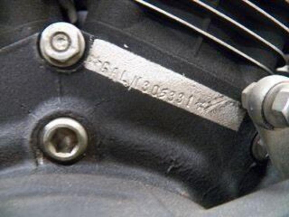 Harley-Davidson Daytona Dyna Glide (6)