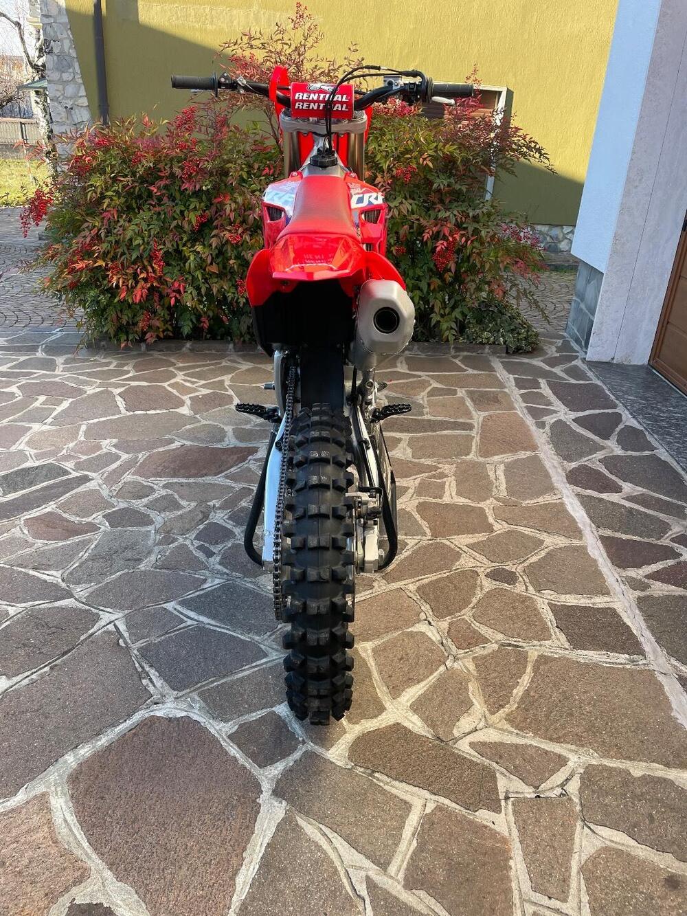 Honda CRF 250 R (2023) (4)