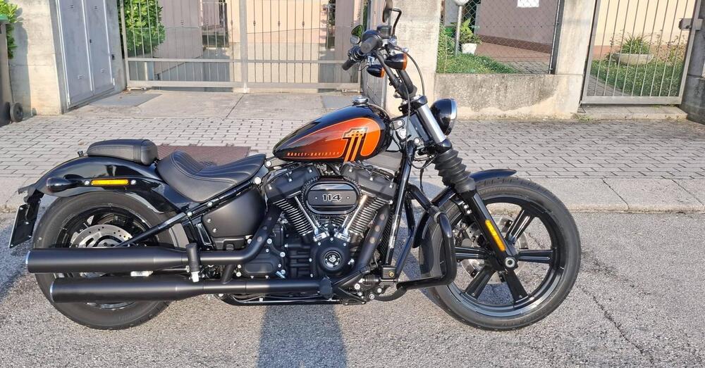Harley-Davidson Street Bob 114 (2021 - 24)