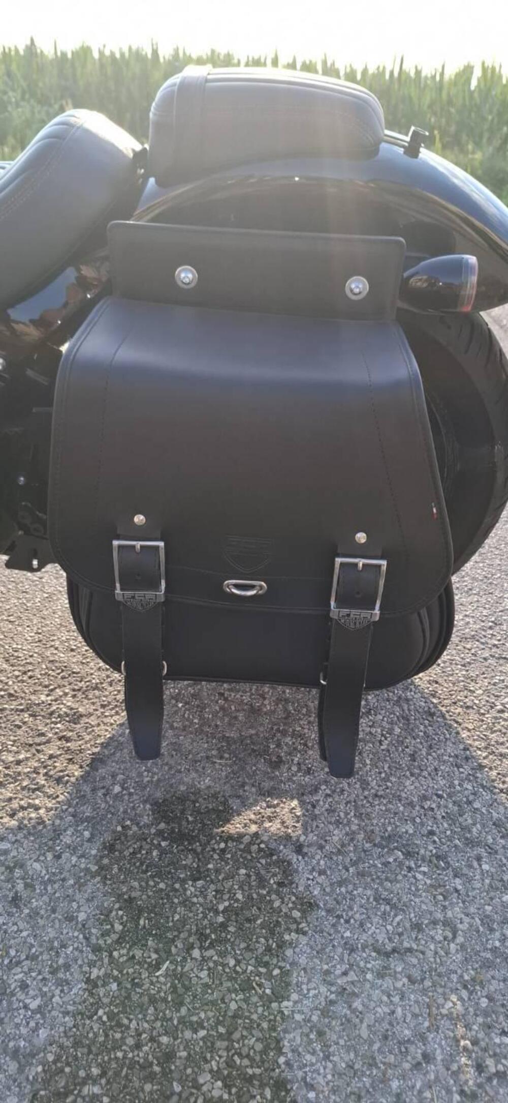 Harley-Davidson Street Bob 114 (2021 - 24) (5)