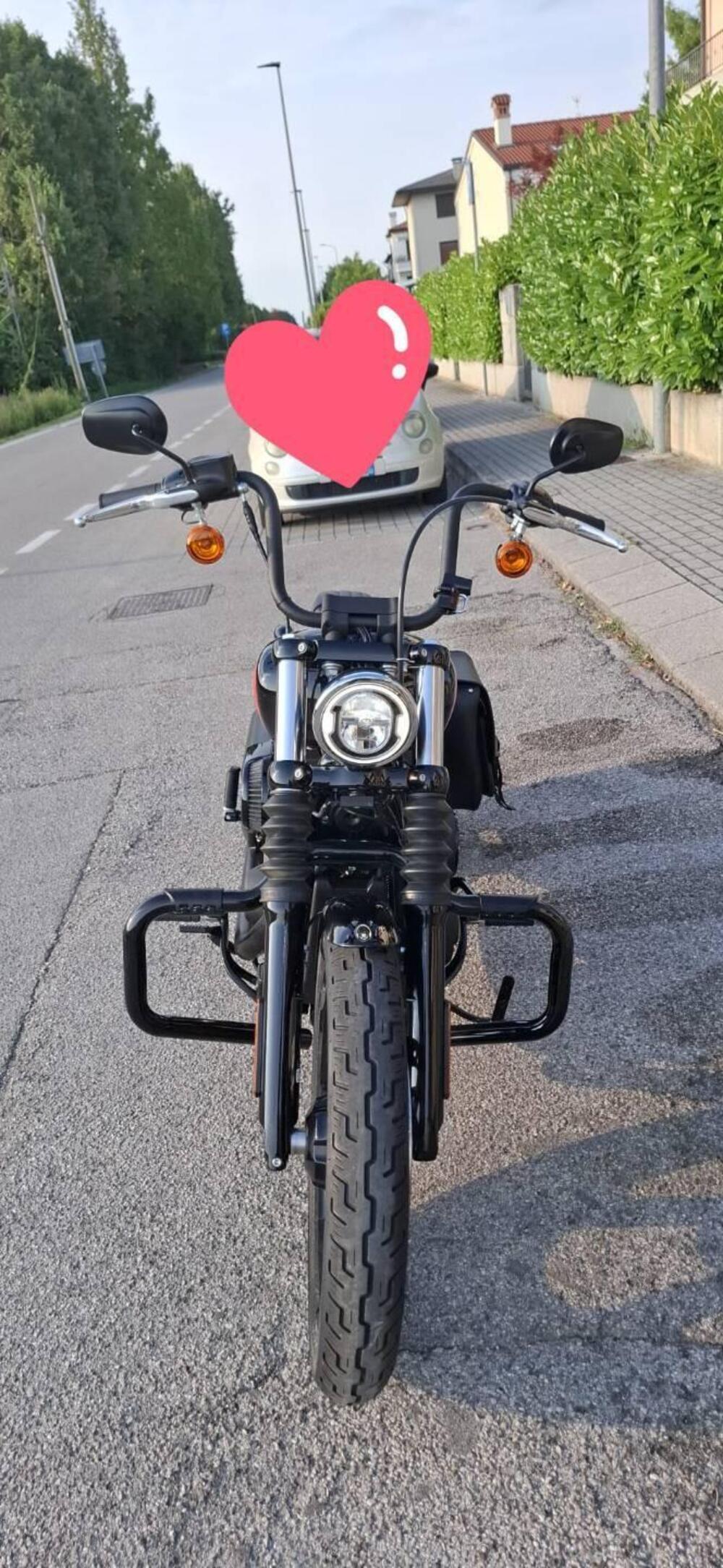 Harley-Davidson Street Bob 114 (2021 - 24) (7)