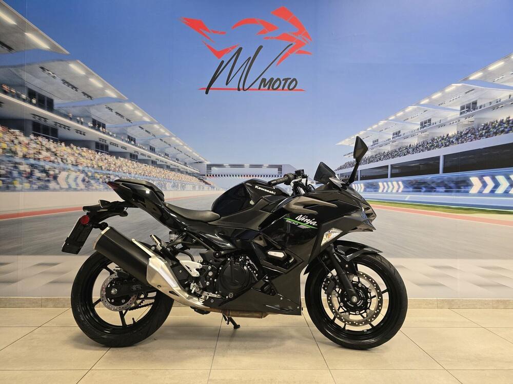 Kawasaki Ninja 500 (2024 - 26)