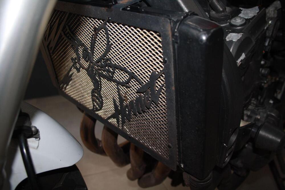 Honda Hornet 600 (2007 - 10) (25)