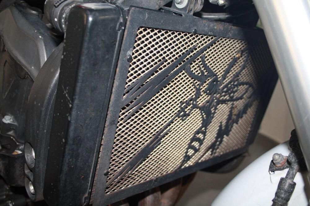 Honda Hornet 600 (2007 - 10) (27)