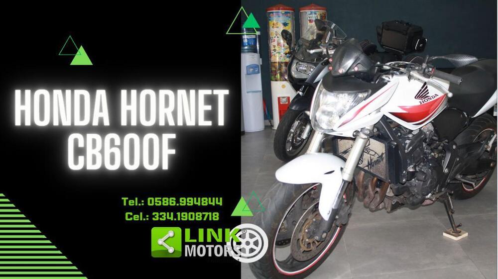 Honda Hornet 600 (2007 - 10) (49)