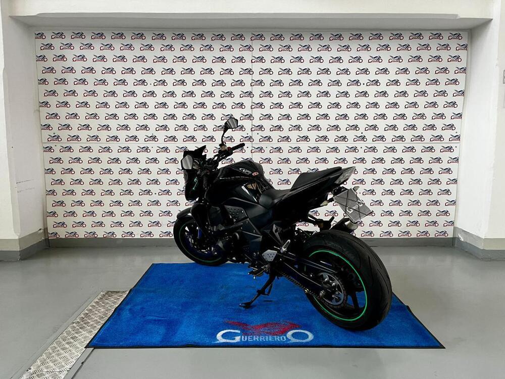 Kawasaki Z 750 (2007 - 14) (4)