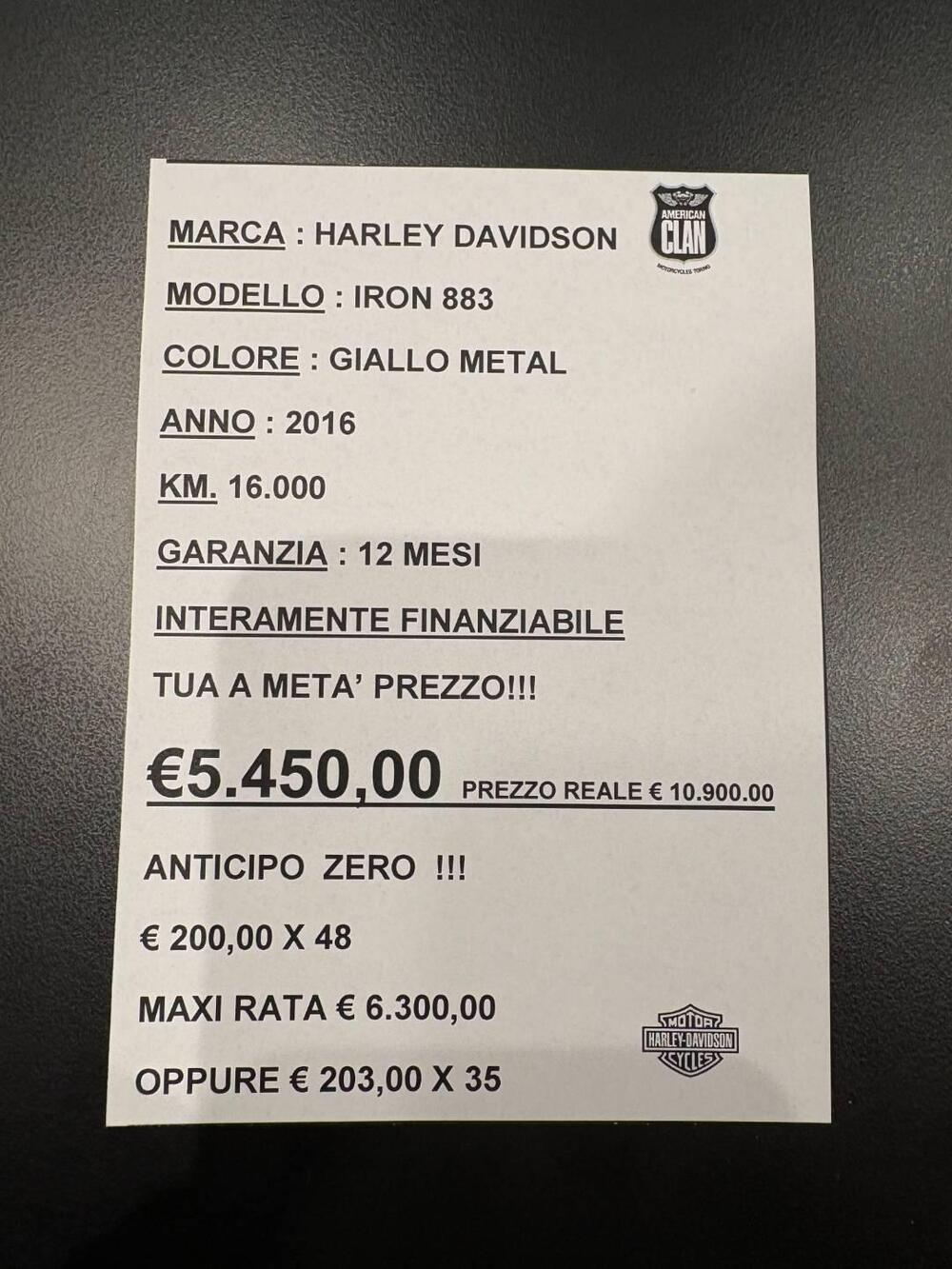 Harley-Davidson 883 Iron (2014 - 16) - XL 883N (2)