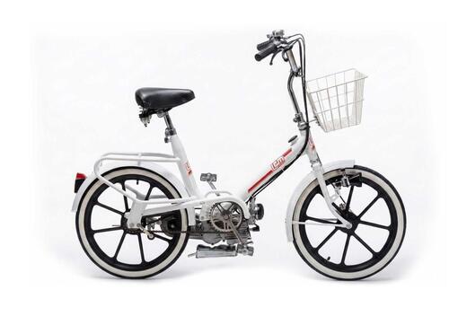 Lem Motor Bicimoto R20