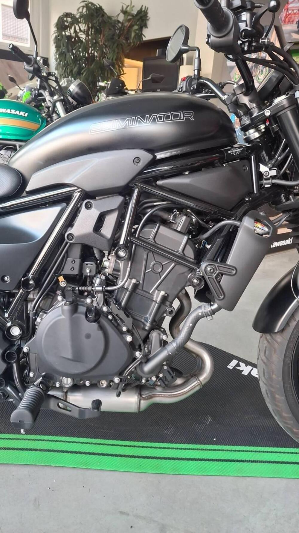 Kawasaki Eliminator 500 SE (2024 - 26) (3)