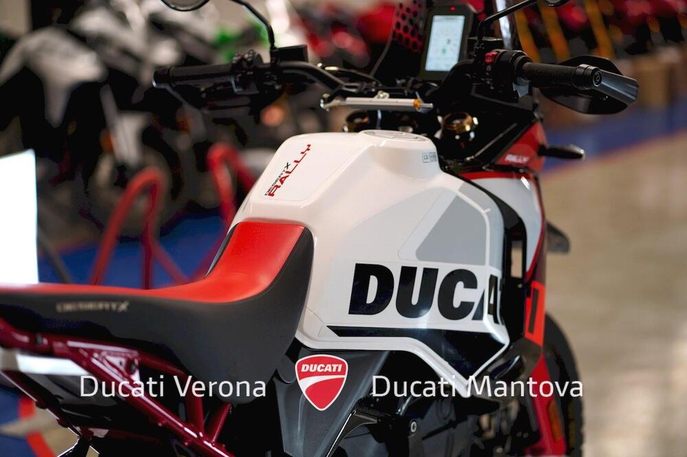 Ducati DesertX Rally (2024 - 25) (11)
