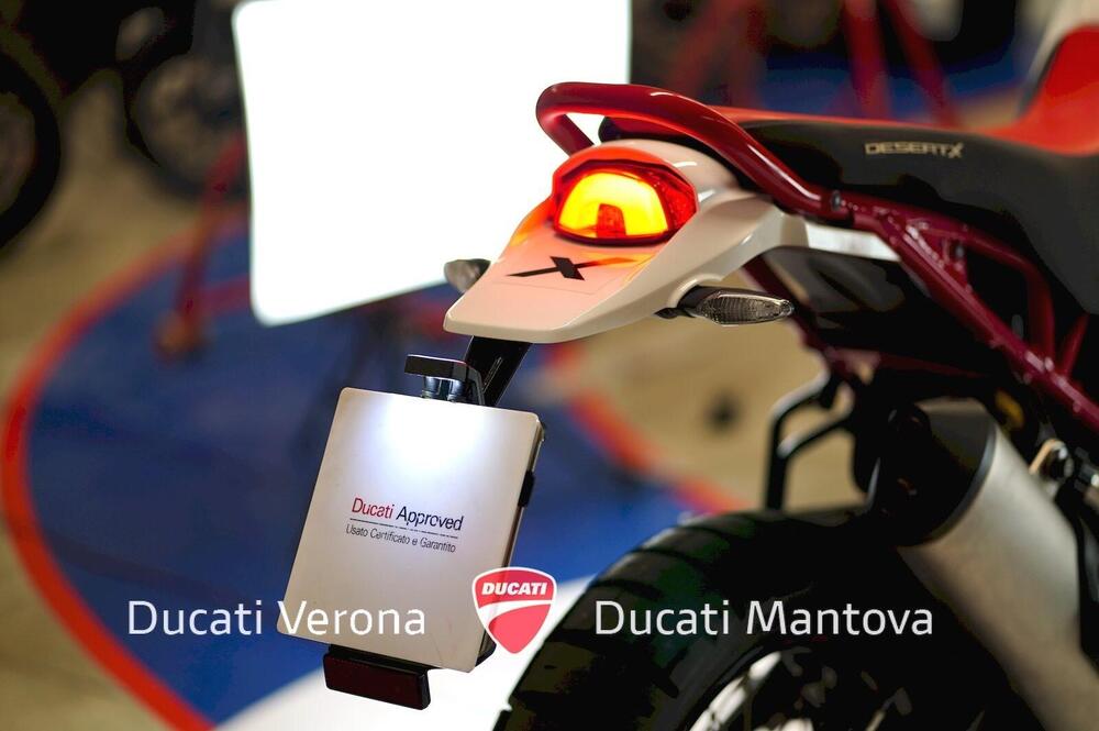 Ducati DesertX Rally (2024 - 25) (12)