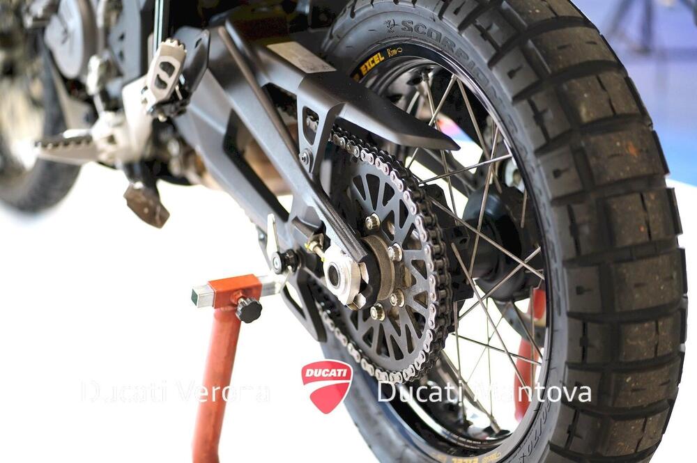 Ducati DesertX Rally (2024 - 25) (14)