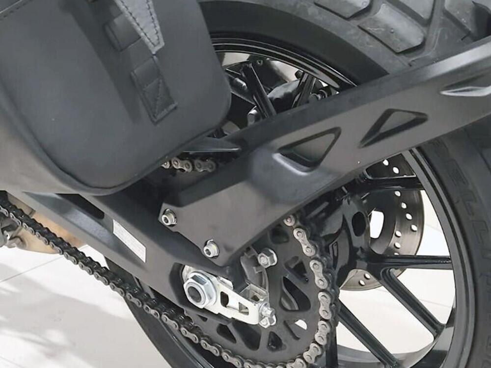 Ducati Scrambler 800 Icon (2023 - 25) (3)