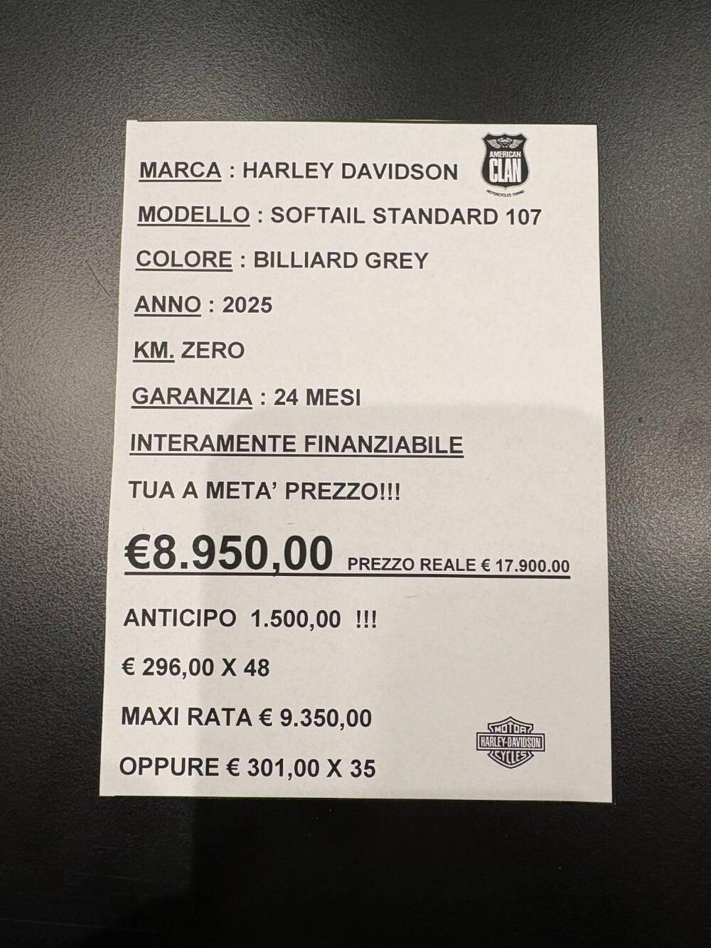 Harley-Davidson Softail Standard (2021 - 25) (3)