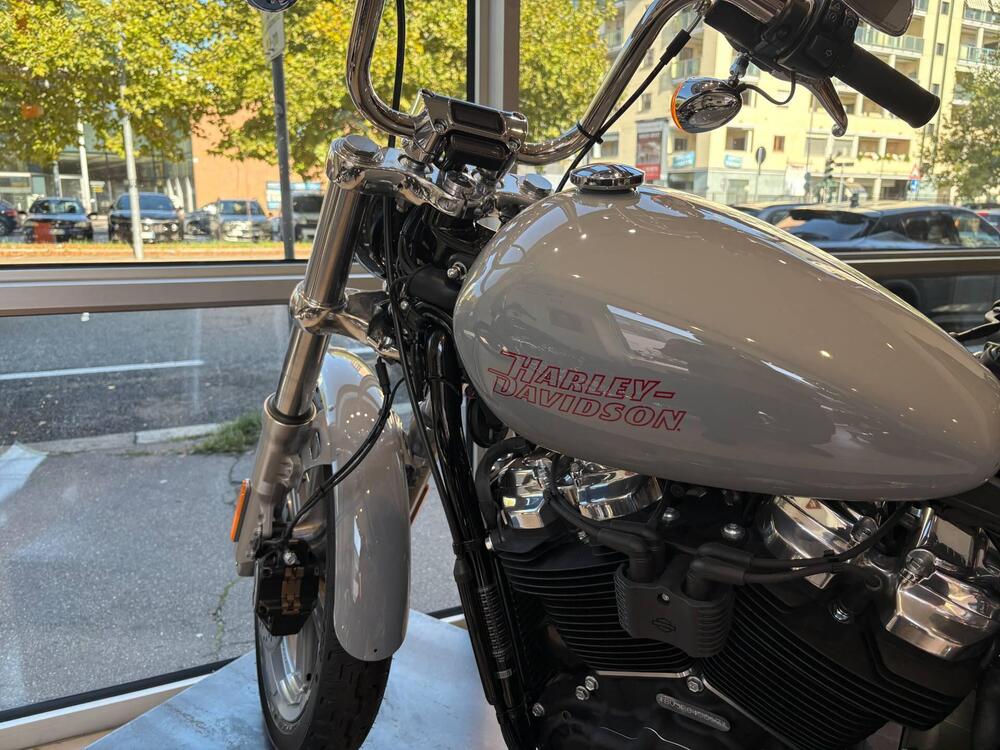 Harley-Davidson Softail Standard (2021 - 25) (6)