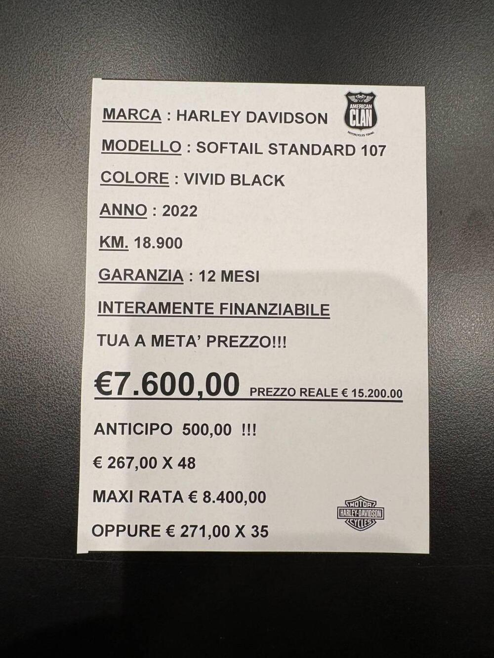 Harley-Davidson Softail Standard (2020) - FXST (2)