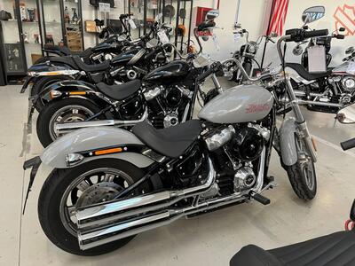 Harley-Davidson Softail Standard (2021 - 25) usata
