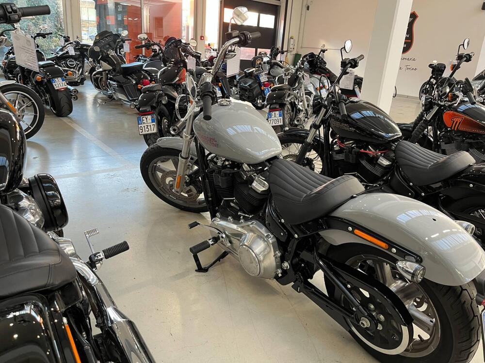 Harley-Davidson Softail Standard (2021 - 25) (6)