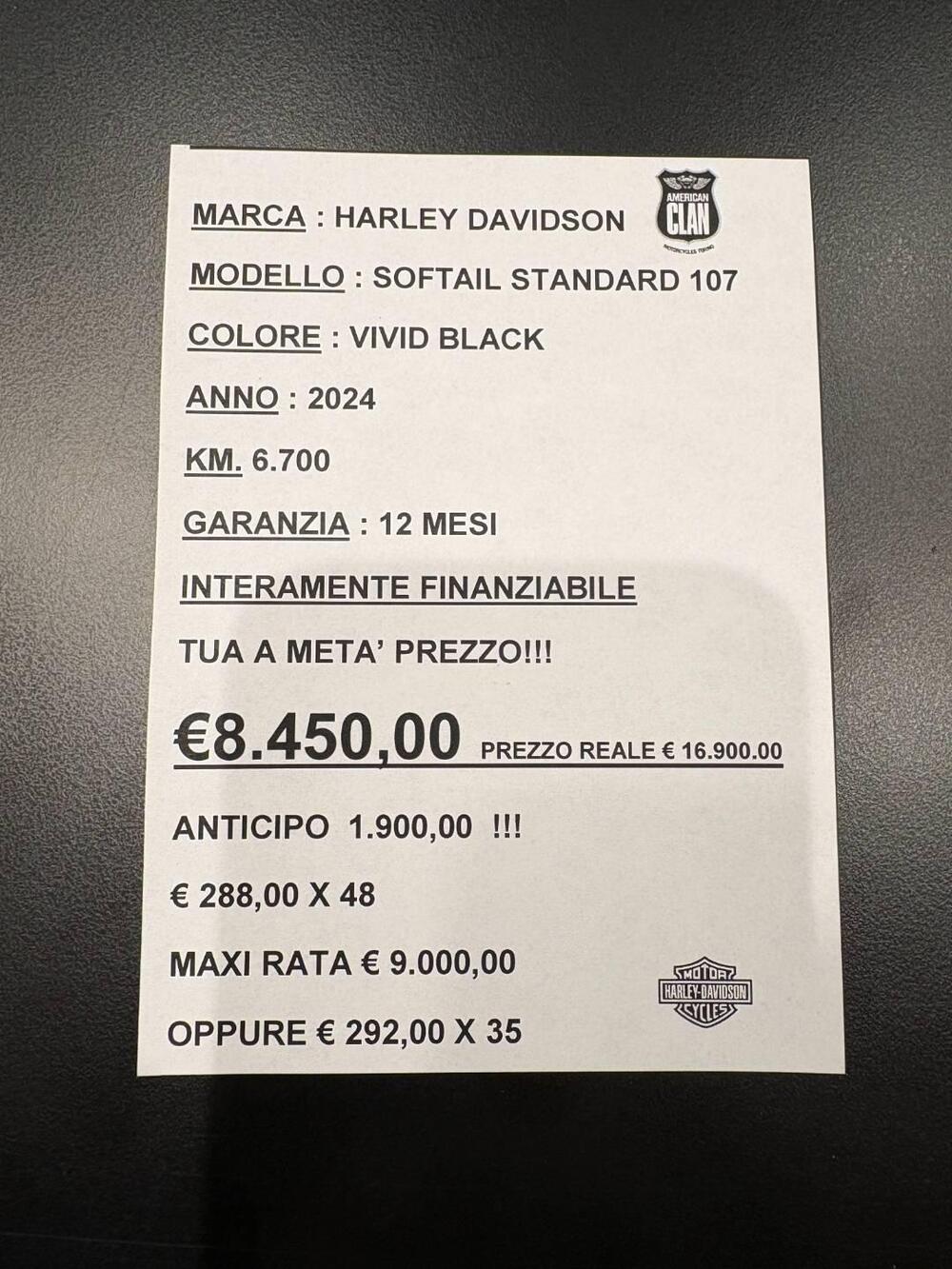 Harley-Davidson Softail Standard (2021 - 25) (2)