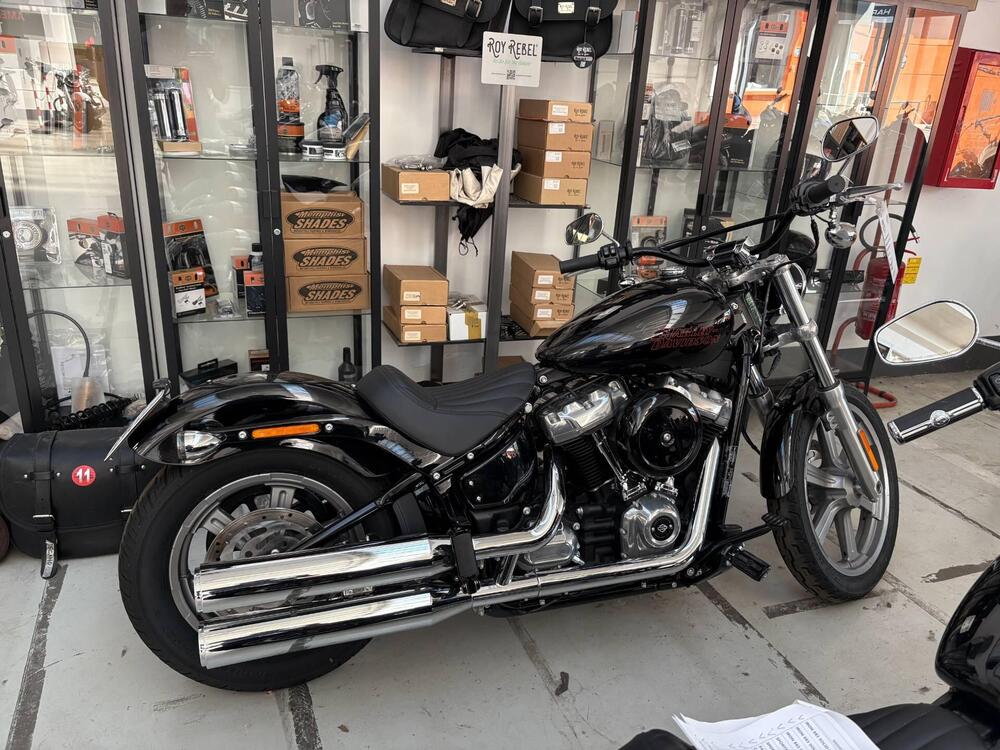 Harley-Davidson Softail Standard (2021 - 25)