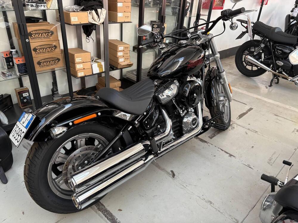 Harley-Davidson Softail Standard (2021 - 25) (3)