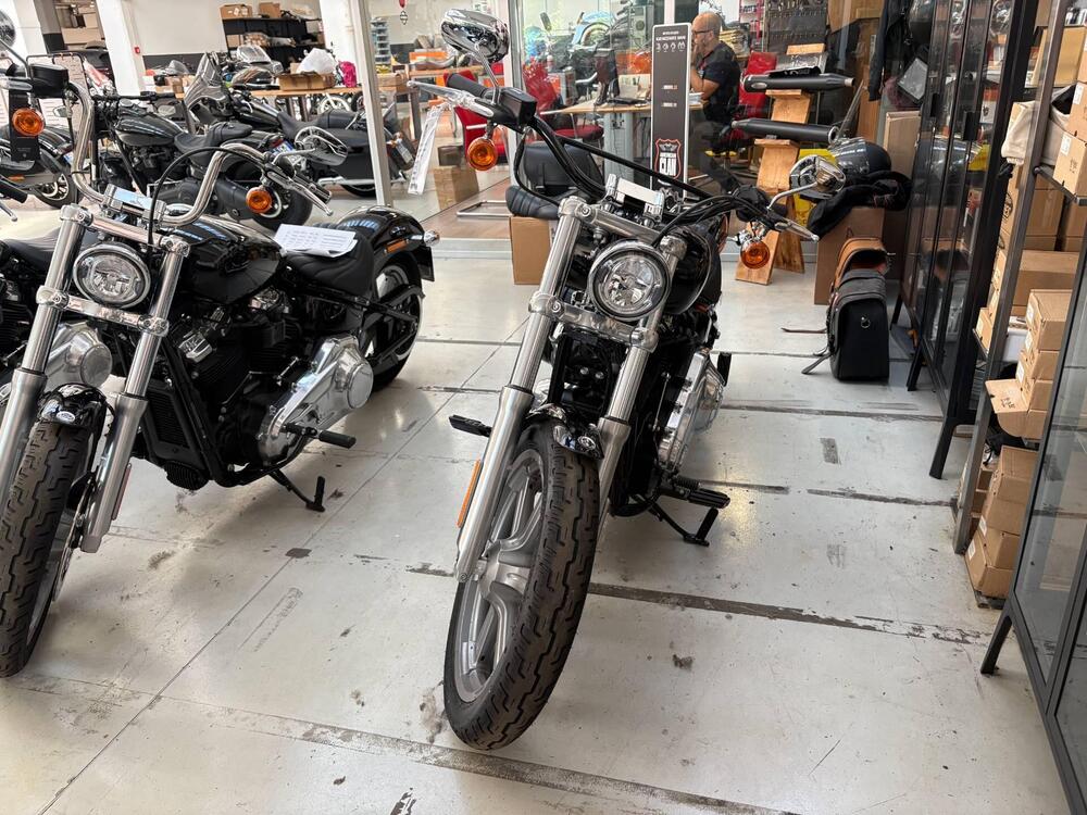 Harley-Davidson Softail Standard (2021 - 25) (4)