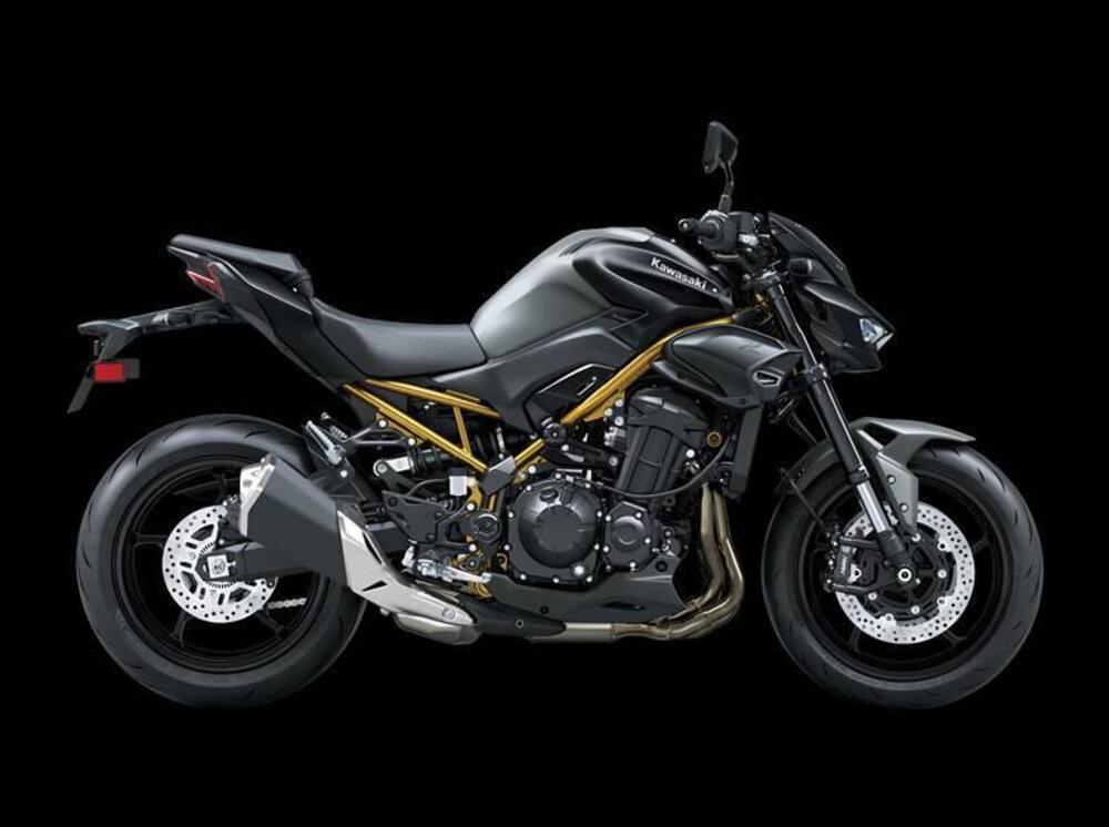 Kawasaki Z 900 A2 (2025 - 26)