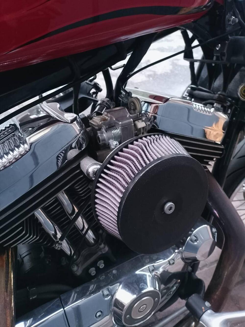 Harley-Davidson 1200 Custom (2004 - 06) - XL 1200C (4)