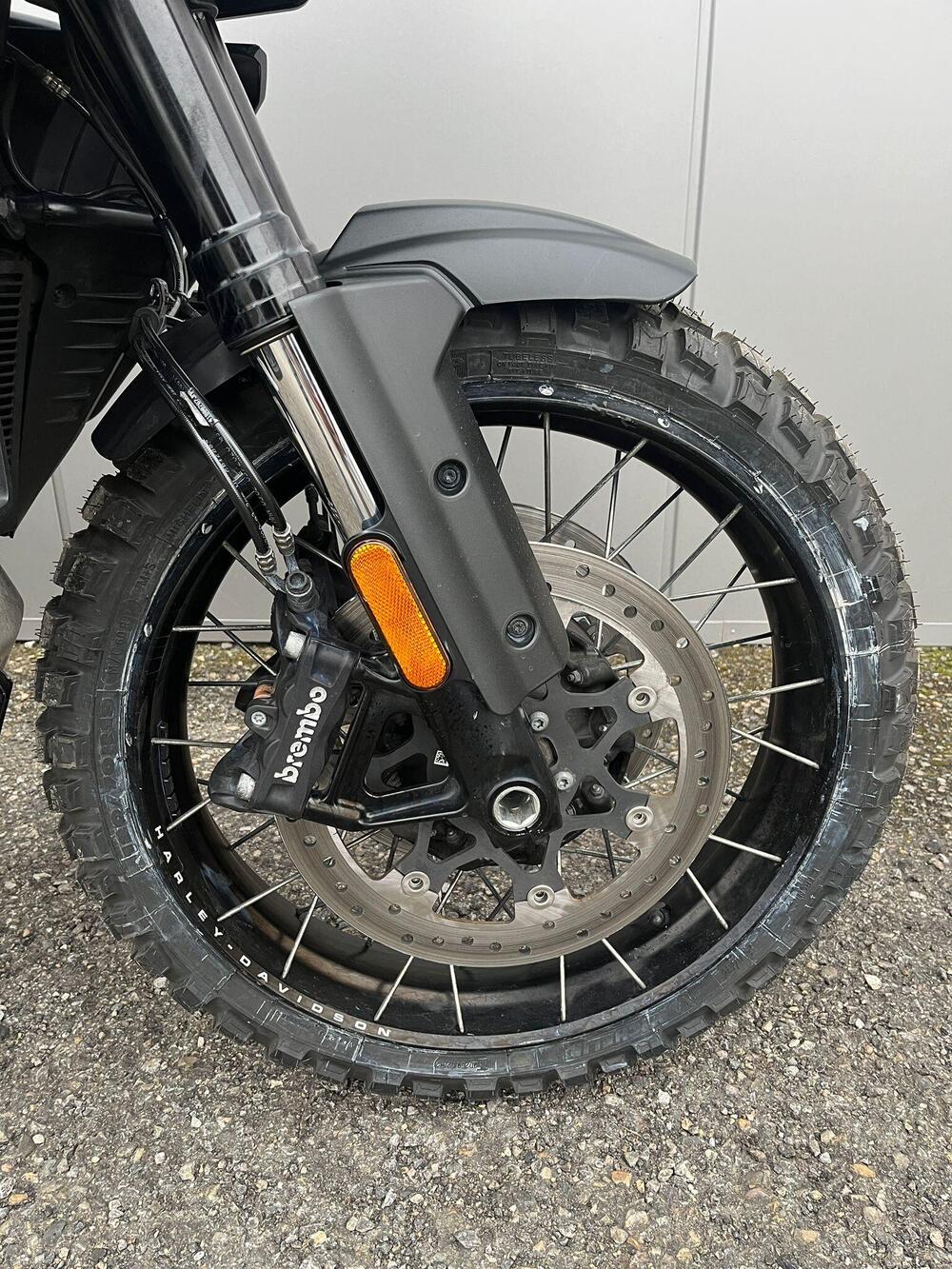 Harley-Davidson Pan America 1250 Special (2020 - 25) (2)