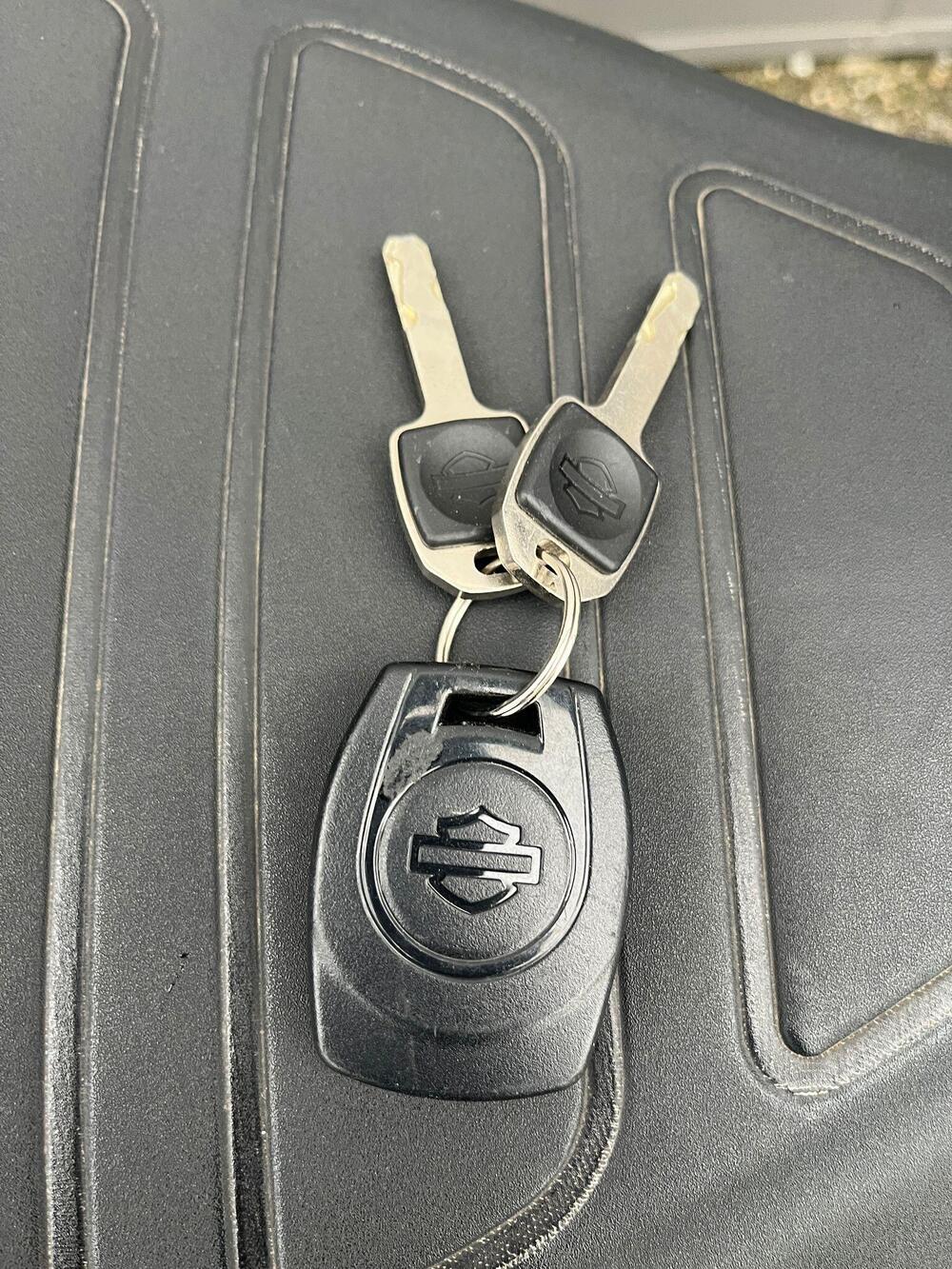 Harley-Davidson Pan America 1250 Special (2020 - 25) (9)