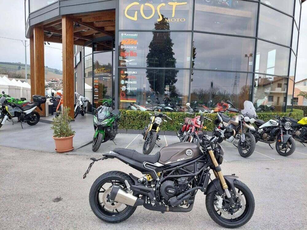 Benelli Leoncino 800 (2022 - 25)