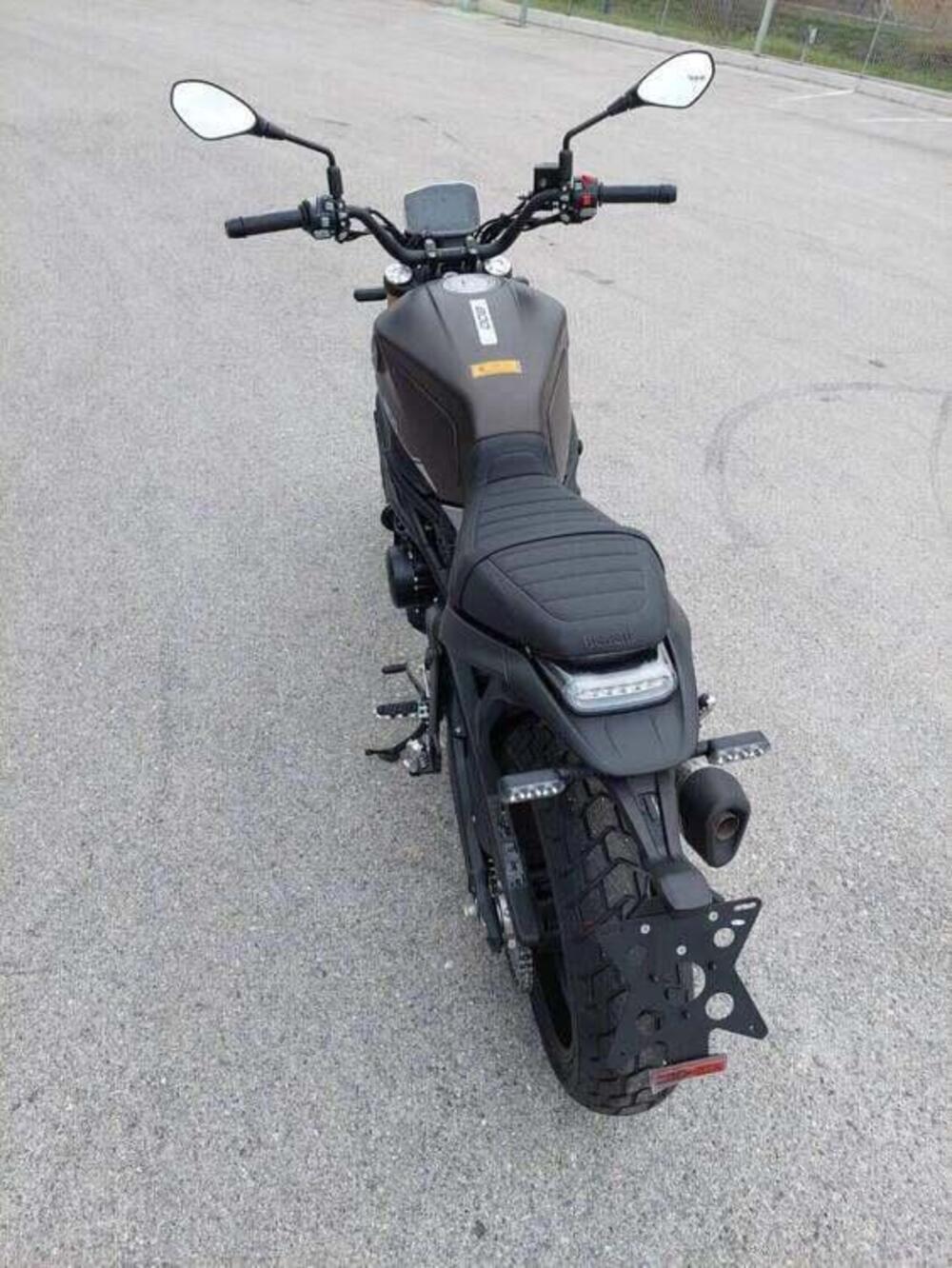 Benelli Leoncino 800 (2022 - 25) (7)