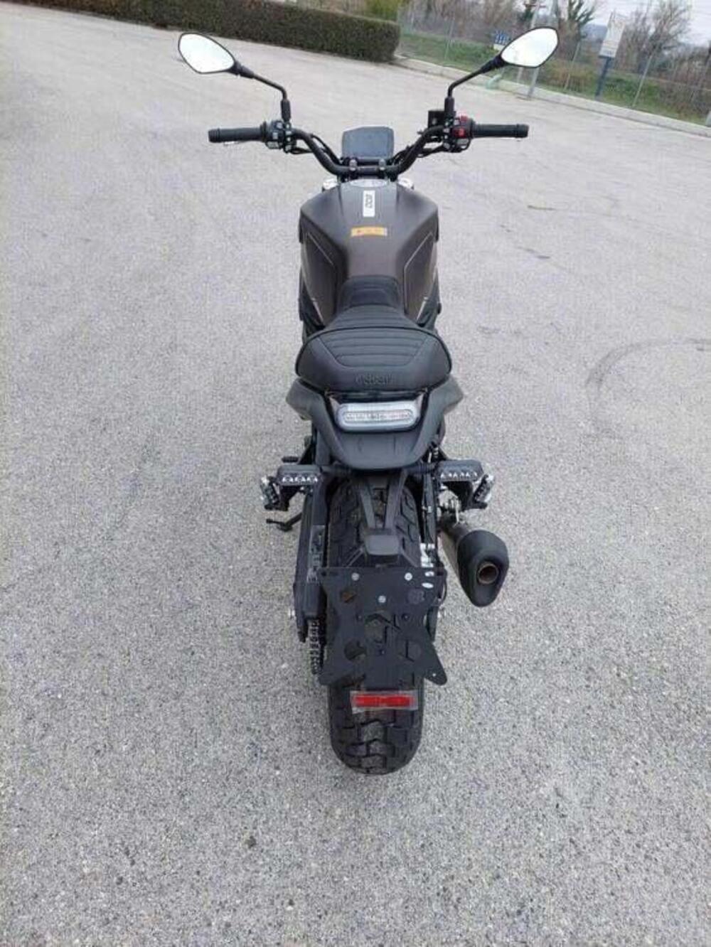 Benelli Leoncino 800 (2022 - 25) (8)