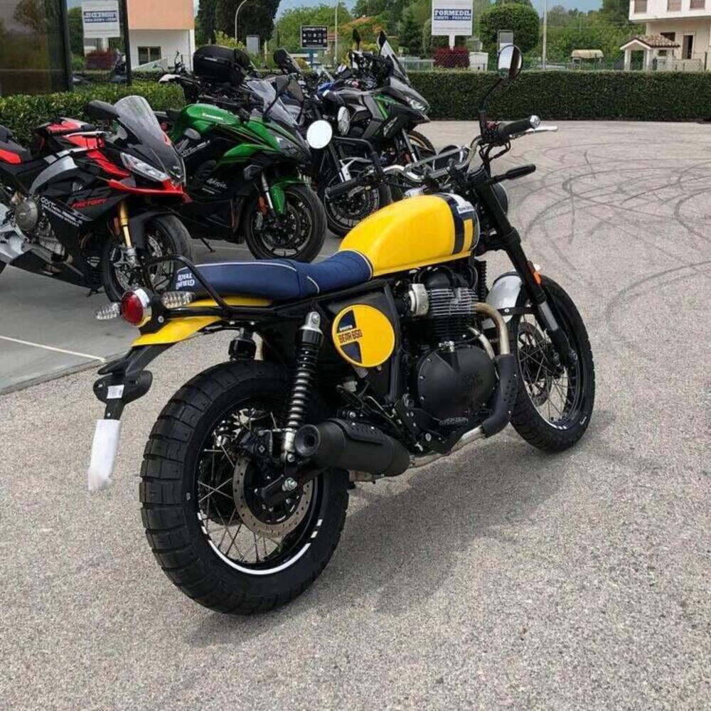 Royal Enfield Bear 650 (2025) (6)