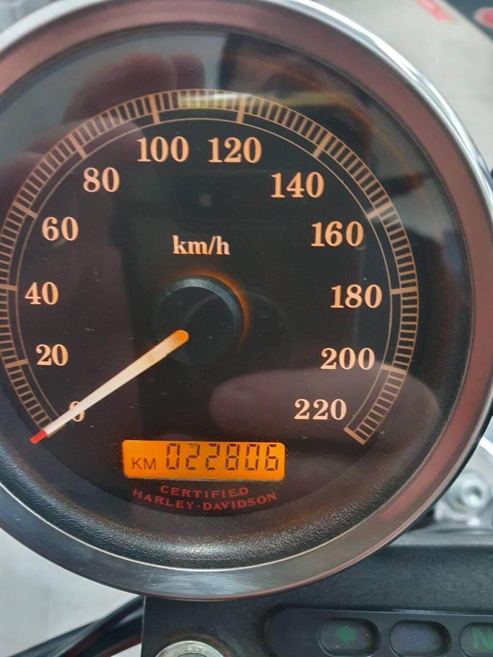 Harley-Davidson 1200 Roadster (2006 - 08) - XL 1200R (4)